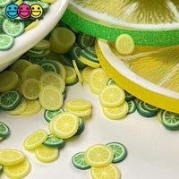 Lemon Lime Fimo Mix Fake Mixed Sprinkles Fake Food Funfetti Jimmies